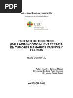 TesisCurroBorrego_09032017