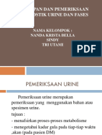 Pemeriksaan Urine