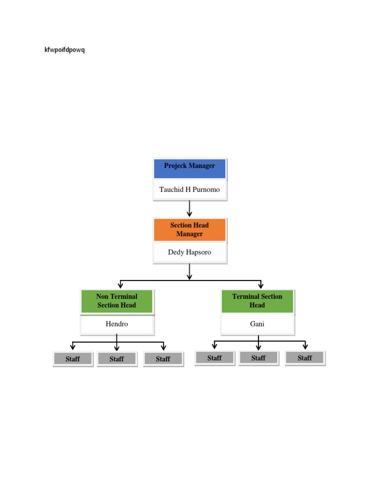 Team Structure Overview for Tauchid | PDF | Business