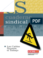 C.S.Caidas.pdf