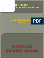 K2- OSTEOLOGI THORAX, BBS.pptx