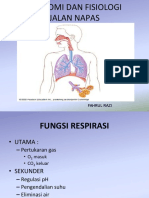 Anatomi Dan Fisiologi Jalan Napas