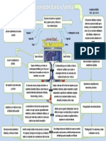 Mapa Conceptual Sobre El Proceso Del Duelo y La Familia