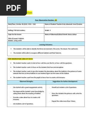 peer observation 2