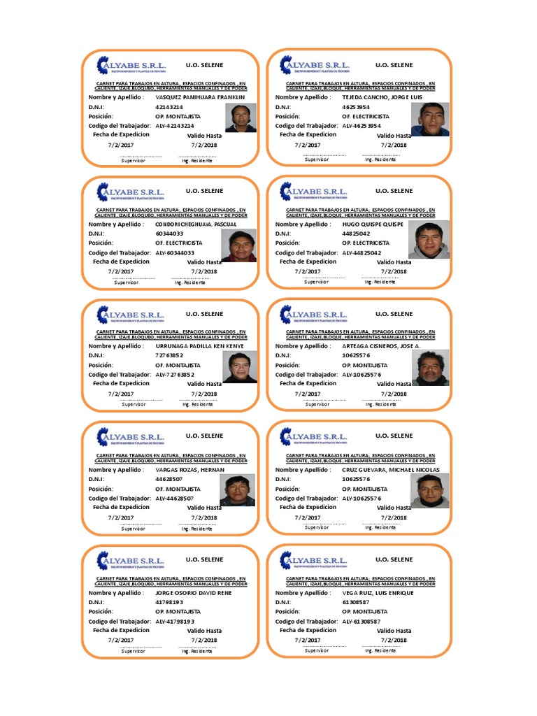 Modelo Carnet Alto Riesgo 2 | PDF