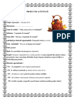 Proiect Didactic Pictura