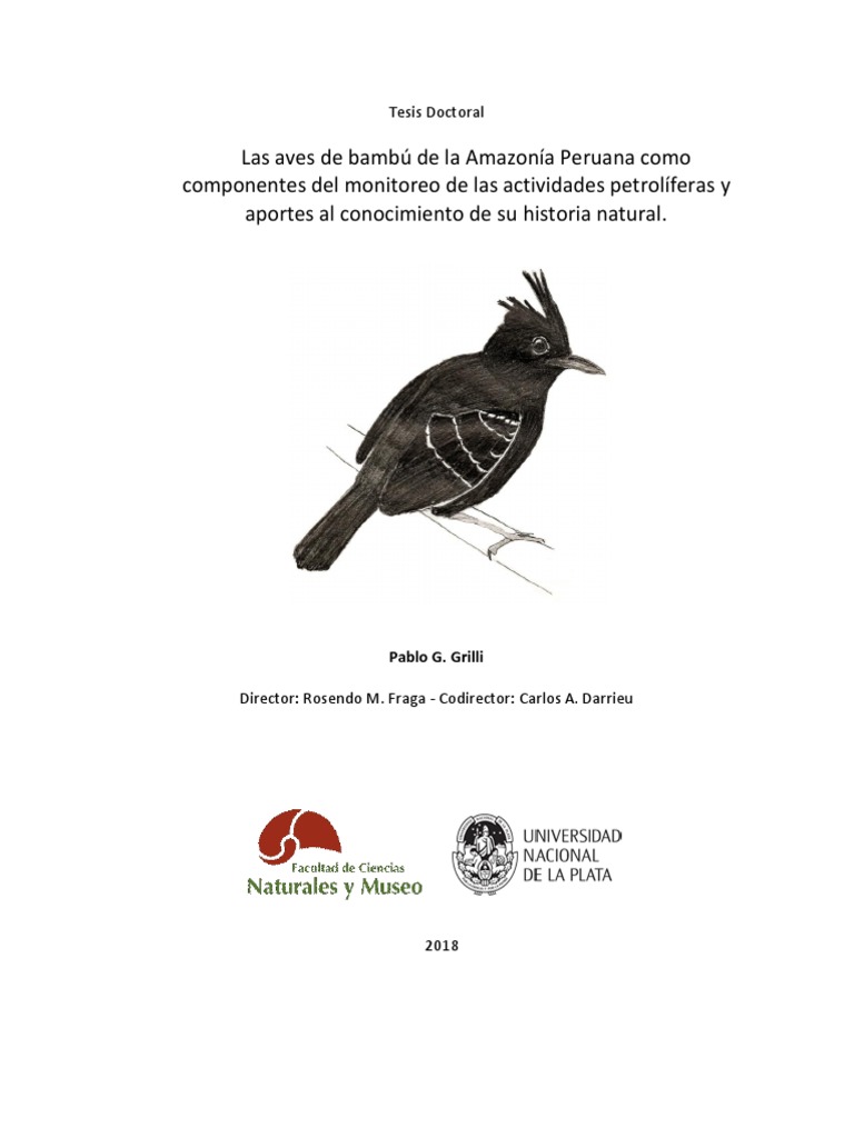 Documento Completo pdf PDFA Aves Bosques Aves