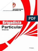 Brigadista Particular