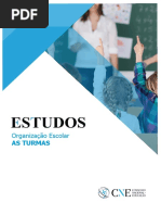 Estudo Organizacao Escolar-As Turmas Versao Final