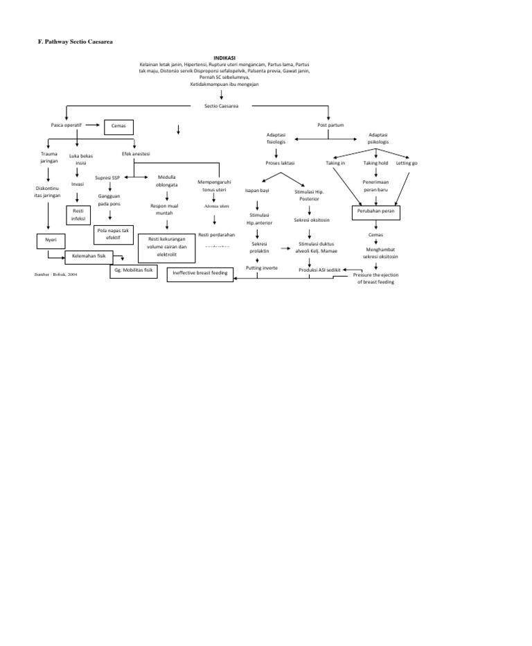 Pathway for Sectio Caesarea Management | PDF