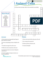 Plant Cell Crossword Puzzle