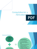 Campilobacter y Helicobacter