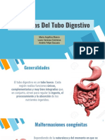 Patología Del Tubo Digestivo