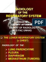 Radiology of the Respiratory System: A Guide to Imaging the Lung Parenchyme, Pleura, Diaphragm and Mediastinum