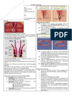 Bukupin Grading Perineal Ruptur