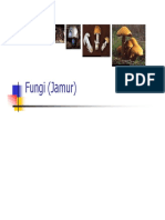fungi.pdf