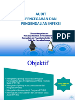 Audit PPI