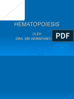 DR - Herwiyati HEMATOPOIESIS