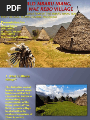 PRESENTATION of Mbaru Niang Houses