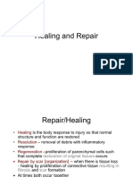 29843180-Healing-and-Repair.pdf