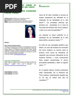 Caso2 PDF