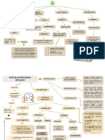 sistema endocrino