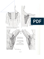 Anatomia Humana Ae