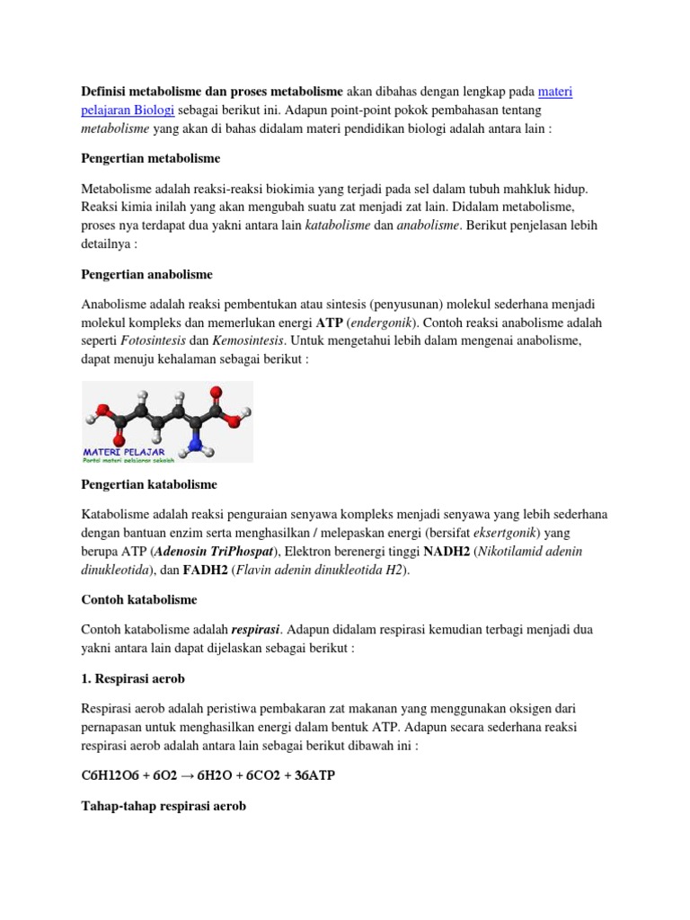 Berikut Yang Merupakan Contoh Anabolisme Adalah Barisan Contoh