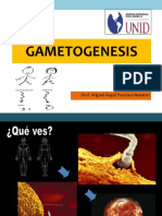 GAMETOS