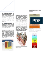 Movimientos orogénicos y epirogenicos definición y escalas de medición sismica