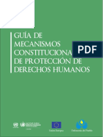 G Constitucionales de Protección de Derechos Humanos