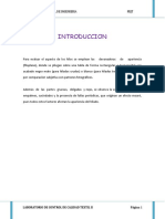 176405902-Apariencia-de-Los-Hilados-Control-2.pdf