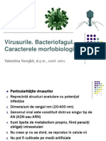 Virusurile_Bacteriofagul-1416