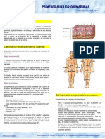 21533-Ficha quemaduras.pdf