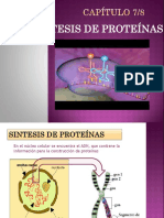 CAPÍTULO 11- Síntesis de Proteínas