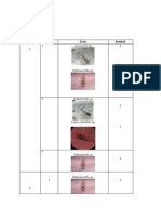 Kelompok 4 Data Makrobentos Lampiran