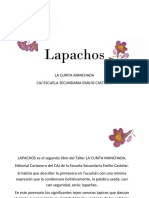 Lapachos: La Curita Manchada Caj Escuela Secundaria Emilio Castelar