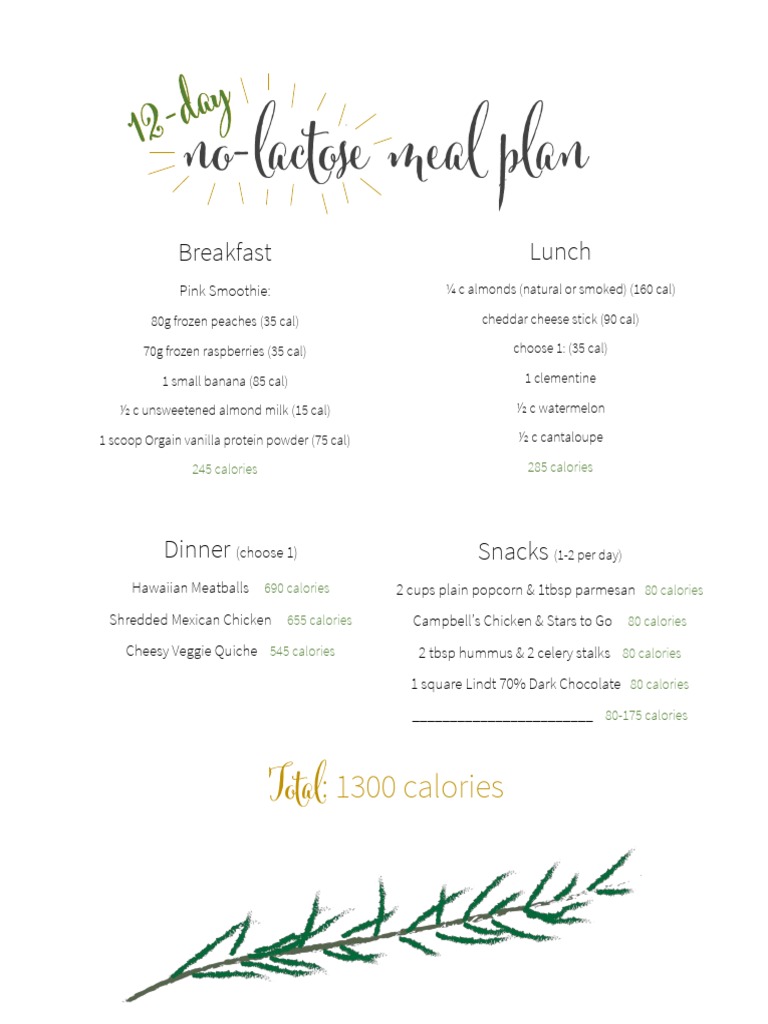 12Day Lactose Free Meal Plan 1 Breads Meal