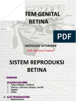 Organ.Genital.Betina.pdf