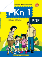 PKN 1