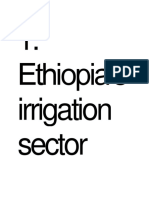 Ethiopia's Irrigation Sector