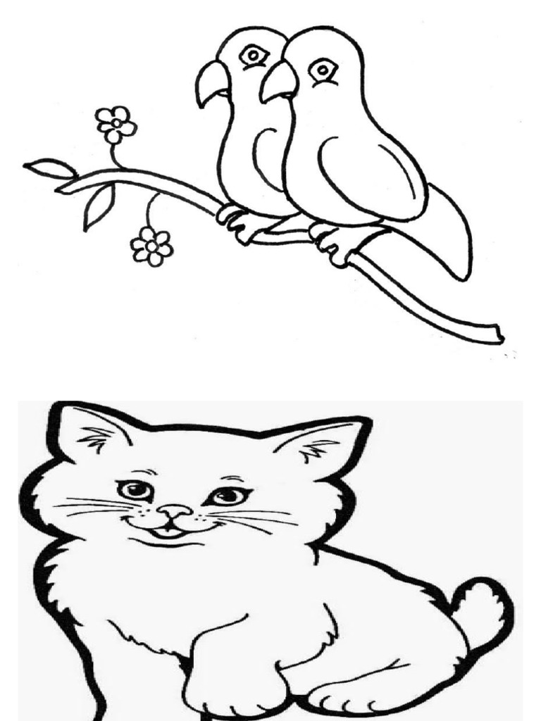 4400 Sketsa Gambar Burung Untuk Mozaik HD Terbaik