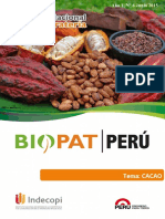 BOLETIN_N5_CACAO.pdf