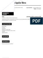 Mi CV PDF