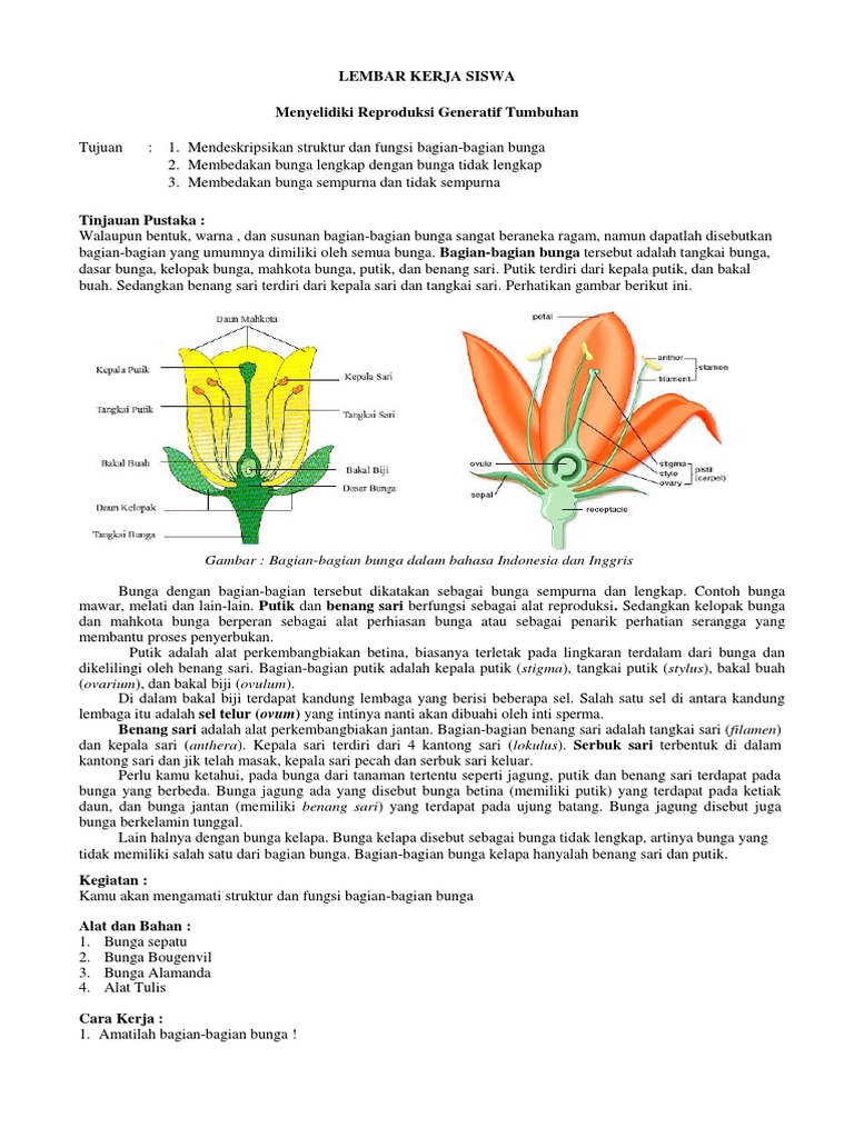 Mengamati Bunga Docx