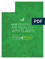 How to Improve Air Quality With Plants the Value of Plants 1