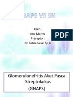 GNAPS VS SN.pptx