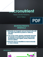 Micronutrient.pptx