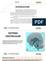 Los ventrículos cerebrales y el líquido cefalorraquídeo