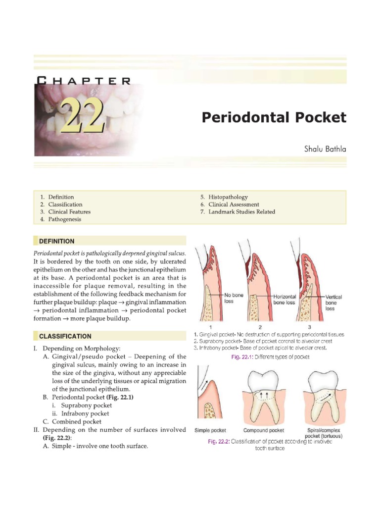 Oral Radiology Principles and Interpretation 6th Ed PDF